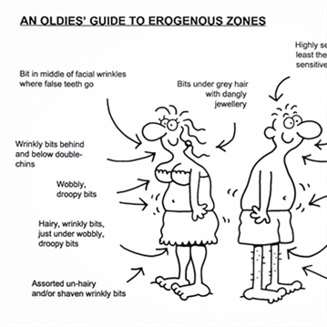 Life After 30 Book  - A Survival Guide for Women