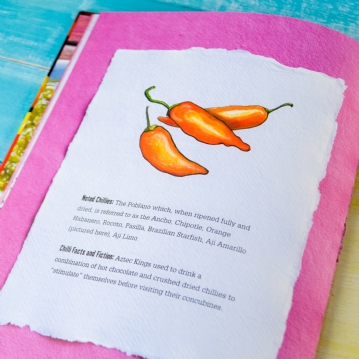 Red Hot Sauce Book - 100 Seriously Spicy Recipes