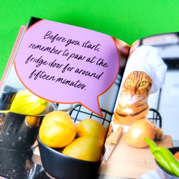 Sweary Cats Funny Book