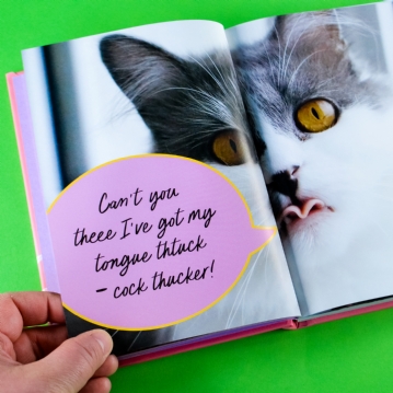 Sweary Cats Funny Book