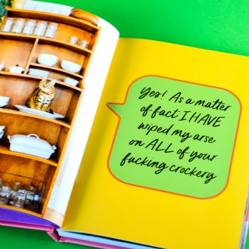 Sweary Cats Funny Book