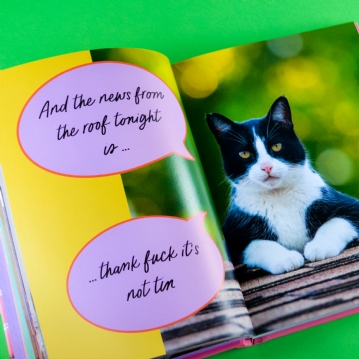 Sweary Cats Funny Book