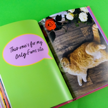 Sweary Cats Funny Book