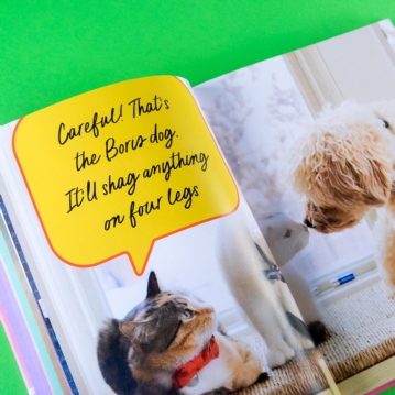 Sweary Cats Funny Book