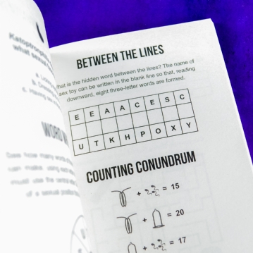 Naughty Puzzle Book - Cheeky Brain Teasers