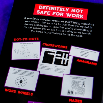 Naughty Puzzle Book - Cheeky Brain Teasers