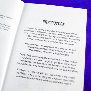 Naughty Puzzle Book - Cheeky Brain Teasers