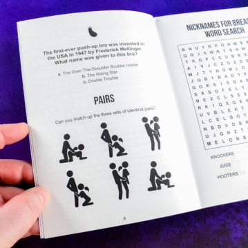 Naughty Puzzle Book - Cheeky Brain Teasers