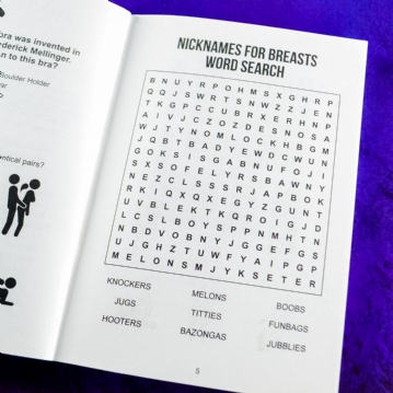 Naughty Puzzle Book - Cheeky Brain Teasers