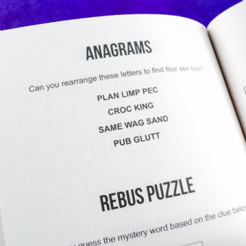 Naughty Puzzle Book - Cheeky Brain Teasers