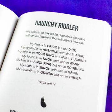 Naughty Puzzle Book - Cheeky Brain Teasers