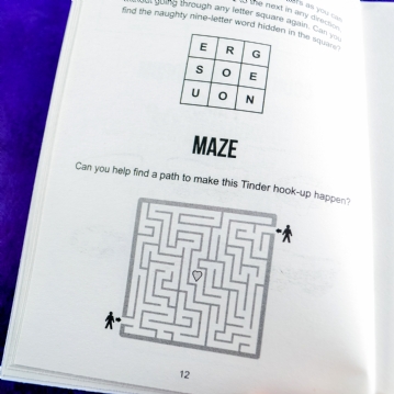 Naughty Puzzle Book - Cheeky Brain Teasers
