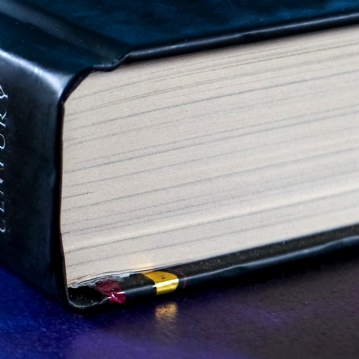 The Traitors Interactive Puzzle Book