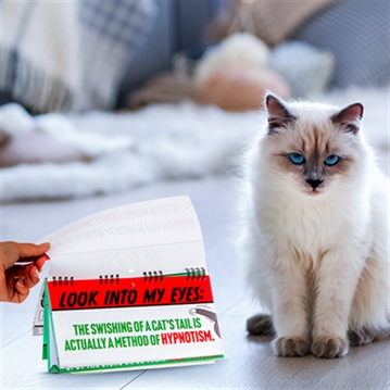 50 Ways Your Cat is Trying to Kill You Flip Book