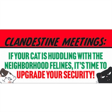 50 Ways Your Cat is Trying to Kill You Flip Book