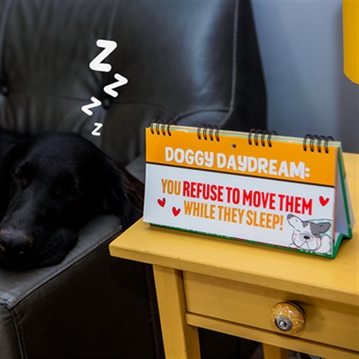 50 Ways to Spoil Your Dog Flip Book