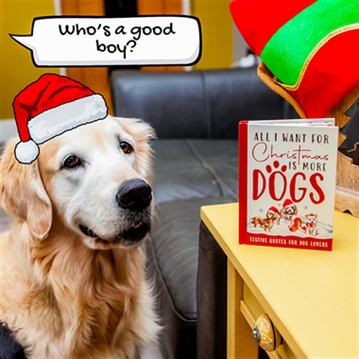 All I Want for Christmas is More Dogs