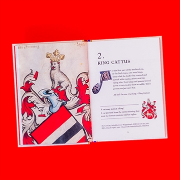 Medieval Cats Book