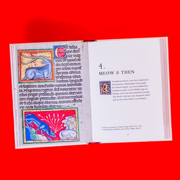 Medieval Cats Book