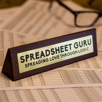 Spreadsheet Guru Funny Desk Sign