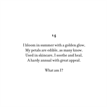 Mystery Coloring Flowers Book