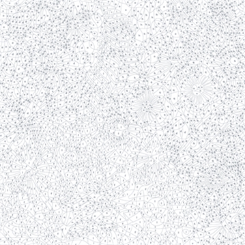 Mystery Coloring Flowers Book