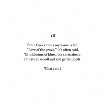 Mystery Coloring Flowers Book