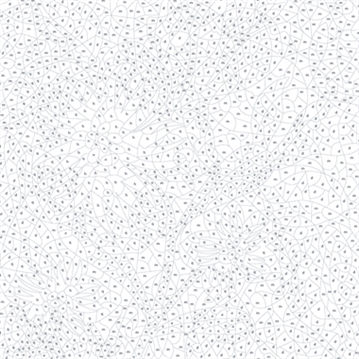 Mystery Coloring Flowers Book