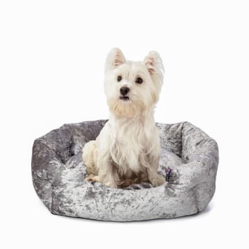 Personalised dog beds crushed cheap velvet