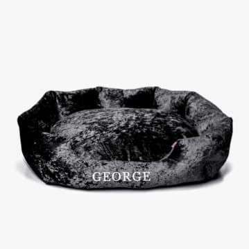 Next crushed on sale velvet dog bed
