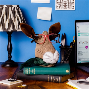 The Secret Spectacle Society - Hare for the Dresser