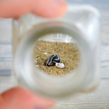 Personalised Message in a Bottle Gift