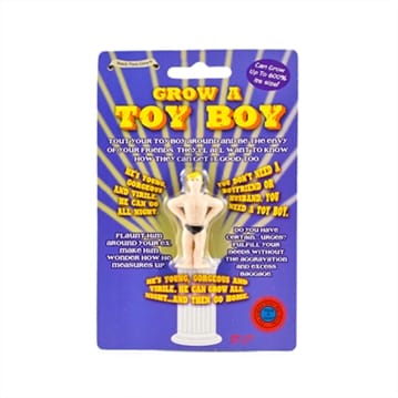 Grow Your Own Toy Boy