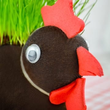 Grow Your Own Hairy Cockerel