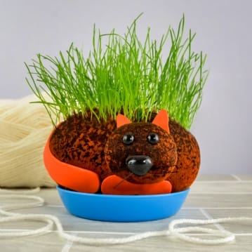 Grow Your Own Hairy Pussycat