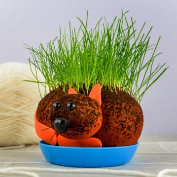 Grow Your Own Hairy Pussycat