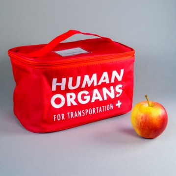 Human Organs Lunchbag