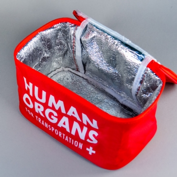 Human Organs Lunchbag