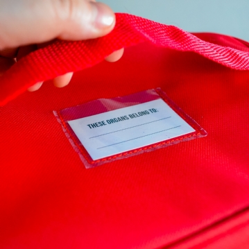 Human Organs Lunchbag