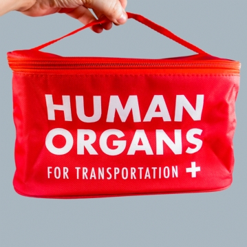 Human Organs Lunchbag