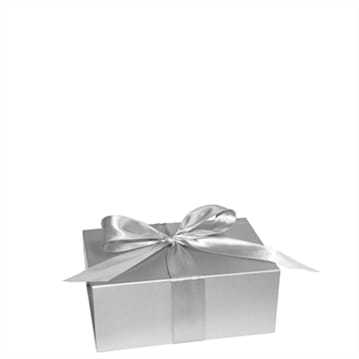 Gift Box (Medium / Silver)