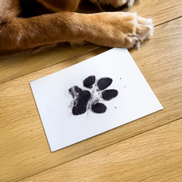 Puppy's First Keepsake Box