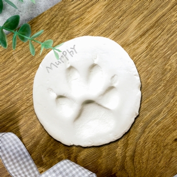 Puppy's First Keepsake Box