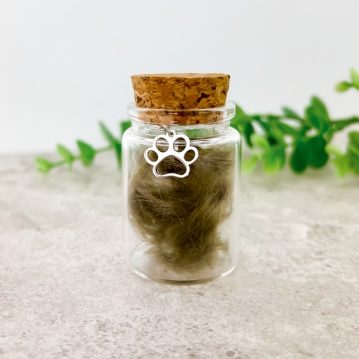 Puppy's First Keepsake Box