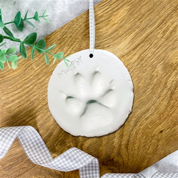 Pet Paw Clay Moulding Kit