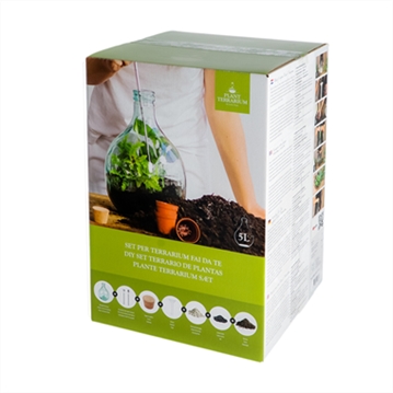 Plant Terrarium Starter Kit