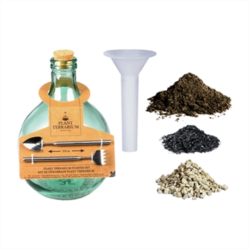 Plant Terrarium Starter Kit