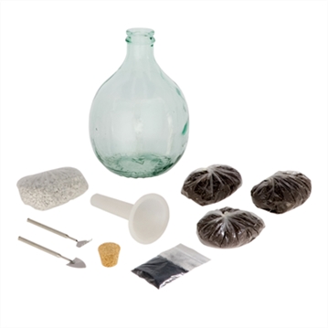 Plant Terrarium Starter Kit