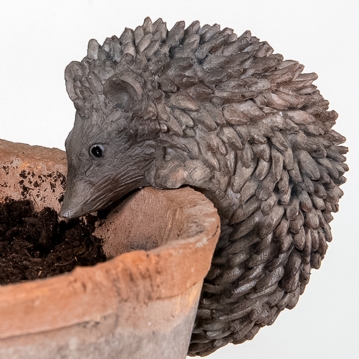 Hedgehog Pot Hanger