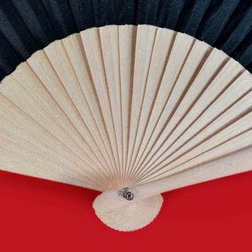 Don't Be a Cunt Hand Fan